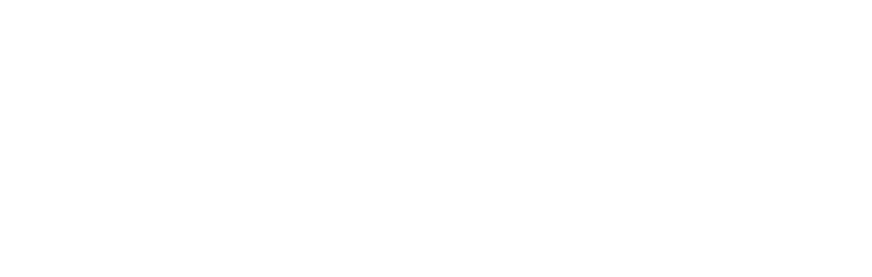 All Pets Online Logo